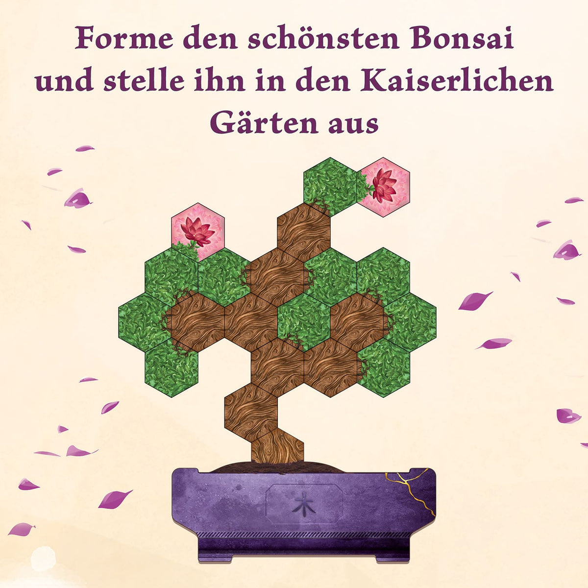 Kosmos - Bonsai