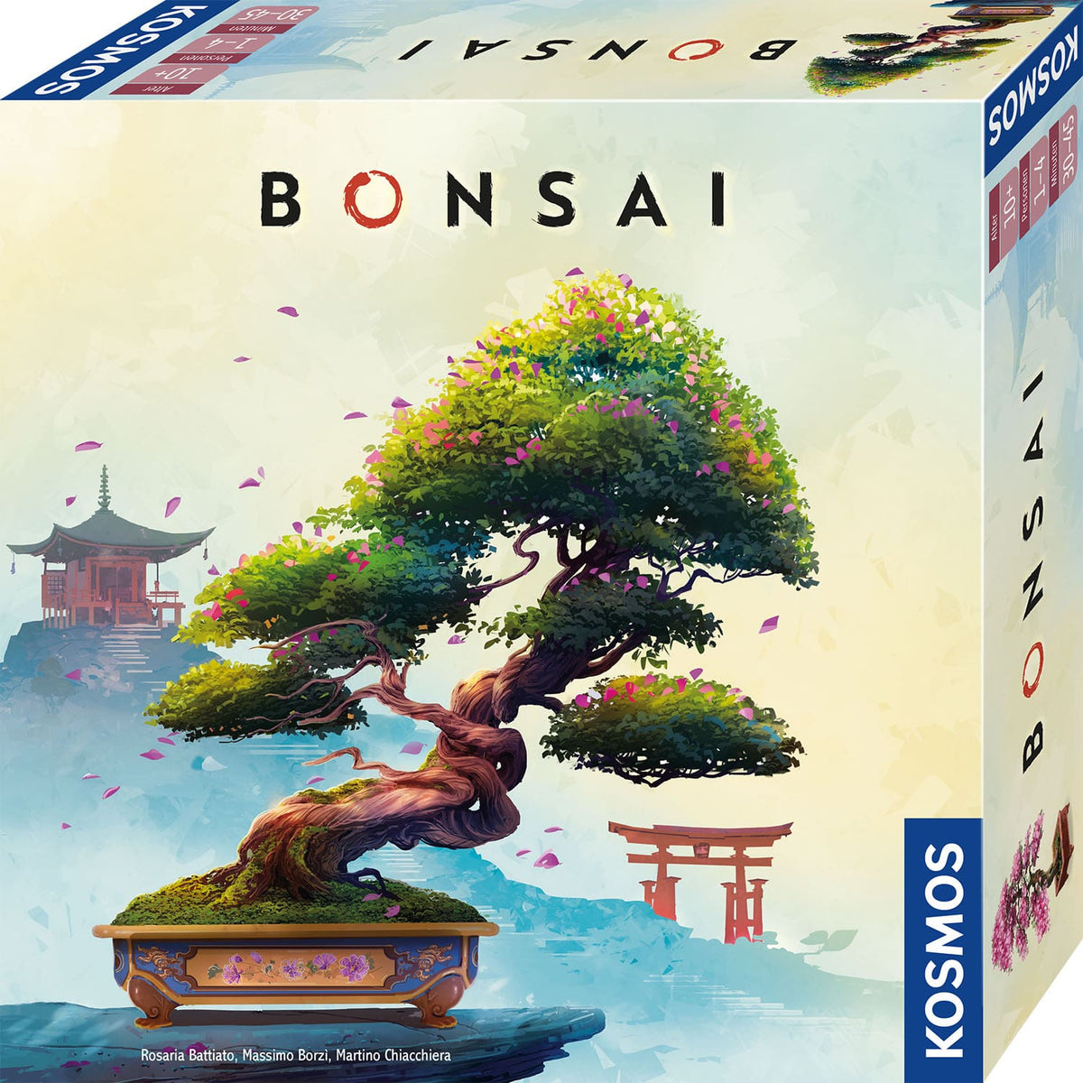 Kosmos - Bonsai