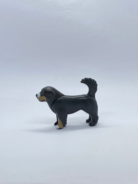 Playmobil Hund - Berner Sennenhund - A1336